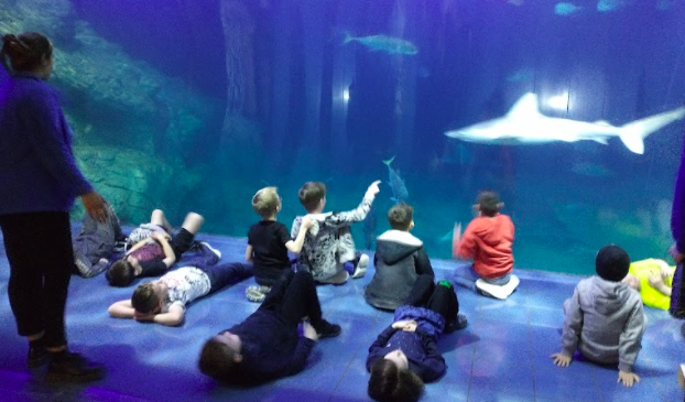 y3-sleeping-with-sharks-plymouth-aquarium-part-2-goodnight